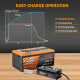 Enjoybot 43.8V 20A LiFePO4 Lithium Battery Charger | Ring Terminal | 0V Charging Activation